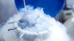 Egg freezing patients ‘misled’ by clinics